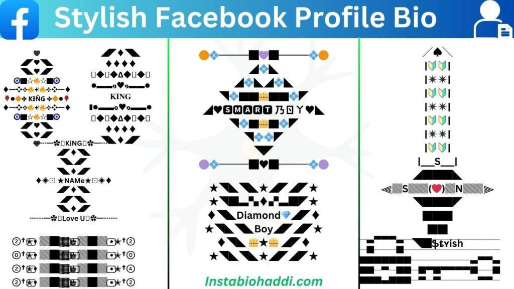stylish facebook profile bio
