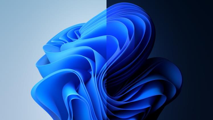 Current Price Overview of Windows 11 Versions