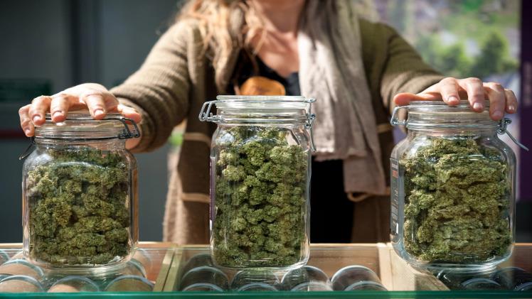 Trusted Products From an Online Dispensary Canada