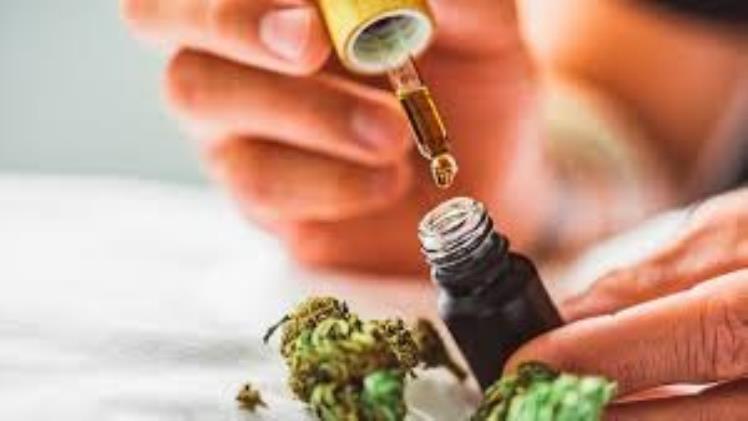 Doctors Won’t Tell You This! The Secret Power of CBD Gummies for Pain Relief